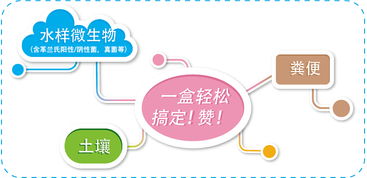 磁珠家族新成員 生工生物為生命科學(xué)提供更全面的產(chǎn)品與技術(shù)服務(wù)